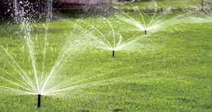 Sprinkler Image